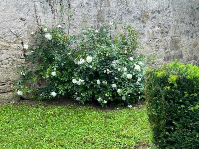 Maison De Charme *
